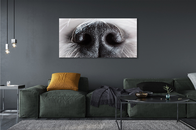 Pintura em tela nariz de cachorro