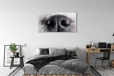 Pintura em tela nariz de cachorro