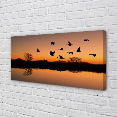 Quadro em tela Pôr do sol de pássaros voando