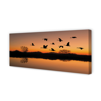 Quadro em tela Pôr do sol de pássaros voando