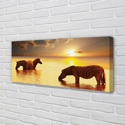 Pintura em tela Zebras na água do pôr do sol