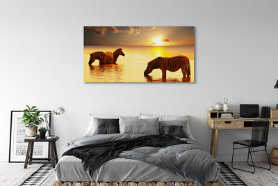 Pintura em tela Zebras na água do pôr do sol