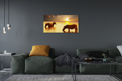 Pintura em tela Zebras na água do pôr do sol