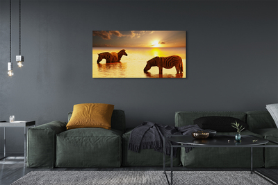 Pintura em tela Zebras na água do pôr do sol