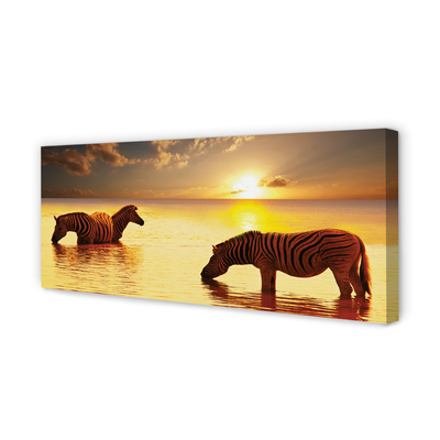 Pintura em tela Zebras na água do pôr do sol