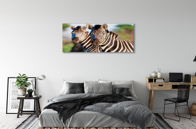 Quadro em tela Zebras