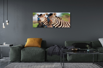 Quadro em tela Zebras