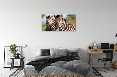 Quadro em tela Zebras