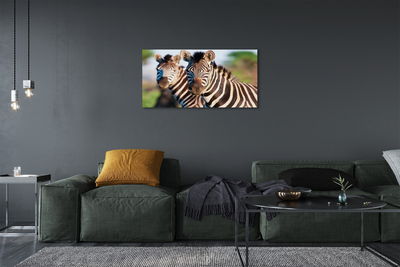 Quadro em tela Zebras