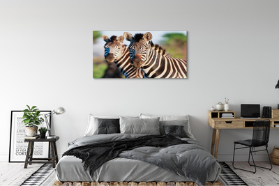 Quadro em tela Zebras