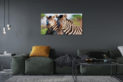 Quadro em tela Zebras