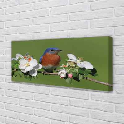 Quadro em tela Flores coloridas de papagaio