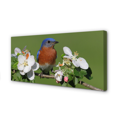 Quadro em tela Flores coloridas de papagaio