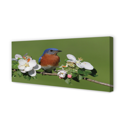 Quadro em tela Flores coloridas de papagaio