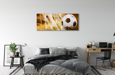 Pintura em tela Bola amarela em fundo de grama