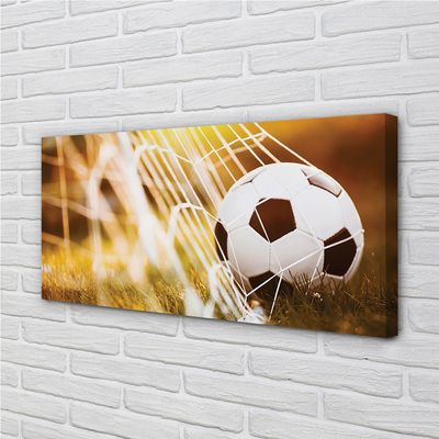 Pintura em tela Bola amarela em fundo de grama