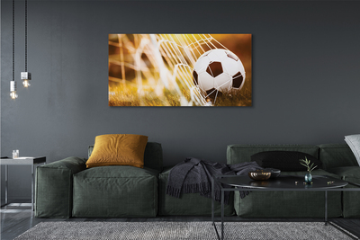 Pintura em tela Bola amarela em fundo de grama