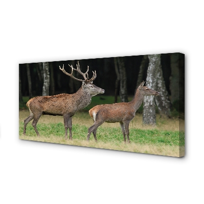 Pintura em tela Floresta de veados