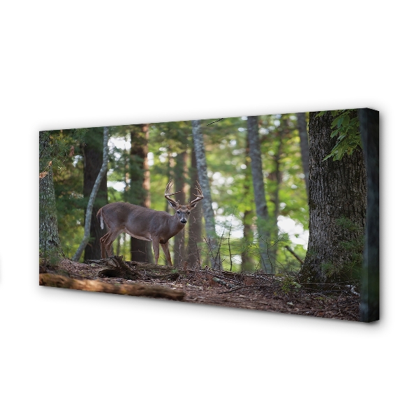 Pintura em tela Veado da floresta