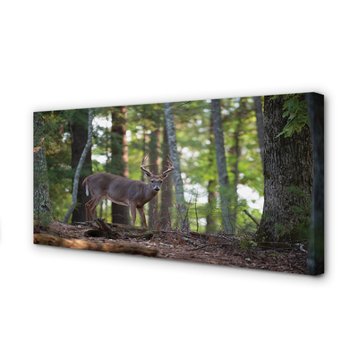 Pintura em tela Veado da floresta