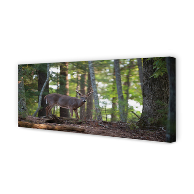 Pintura em tela Veado da floresta