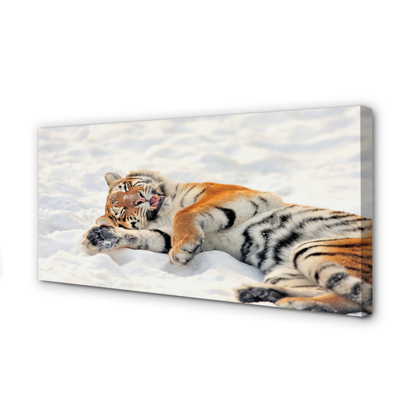 Quadro em tela Tigre de neve do inverno
