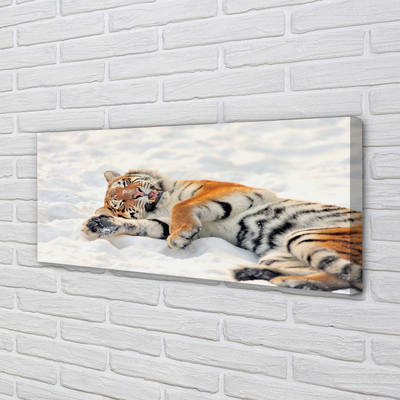 Quadro em tela Tigre de neve do inverno