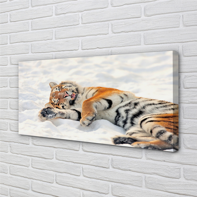 Quadro em tela Tigre de neve do inverno