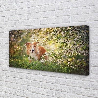 Pintura em tela Flores da floresta para cães
