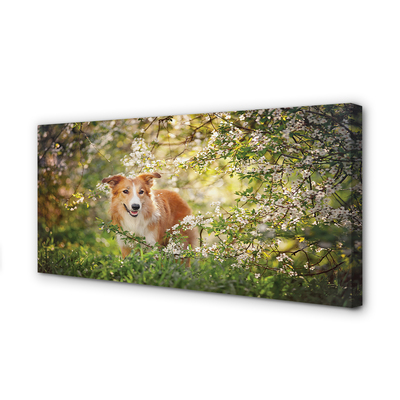 Pintura em tela Flores da floresta para cães