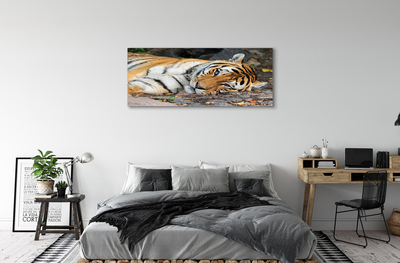 Pintura em tela Tigre mentiroso