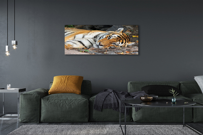 Pintura em tela Tigre mentiroso