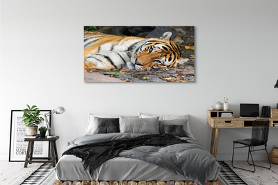 Pintura em tela Tigre mentiroso