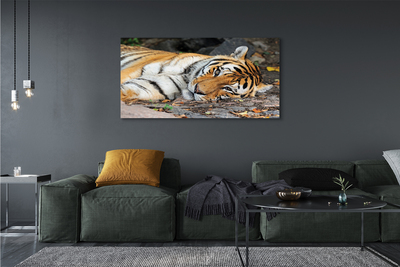 Pintura em tela Tigre mentiroso