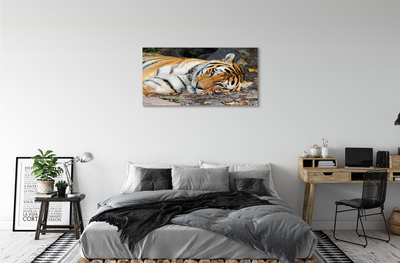 Pintura em tela Tigre mentiroso