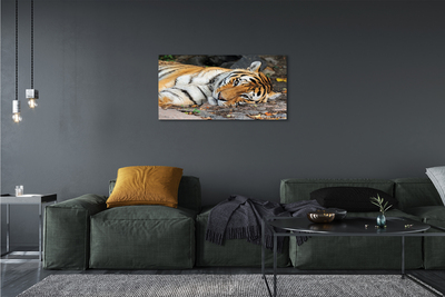 Pintura em tela Tigre mentiroso