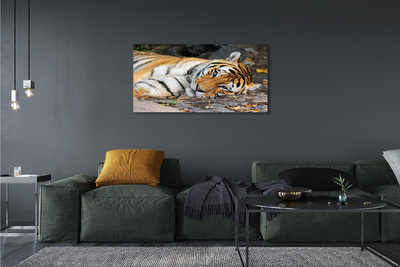 Pintura em tela Tigre mentiroso