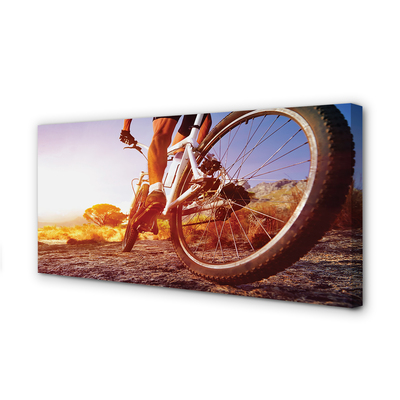 Pintura em tela Estrada de mountain bike oeste