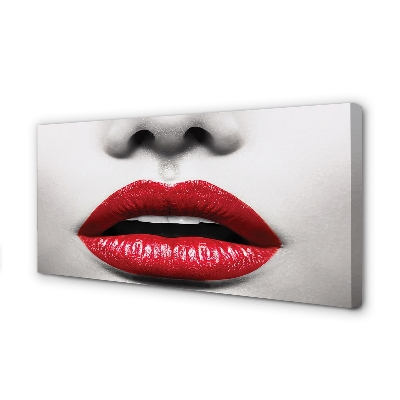 Pintura em tela Mulher com nariz e lábios vermelhos
