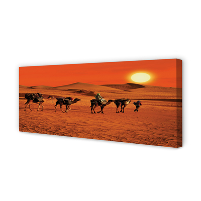 Quadro em tela Camelos, pessoas, deserto, sol, céu
