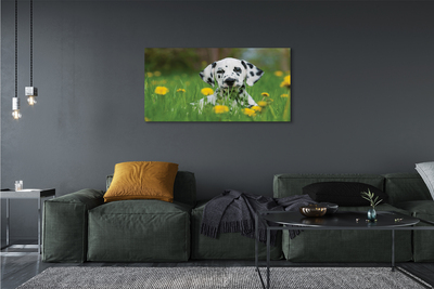 Quadro em tela Cão do prado