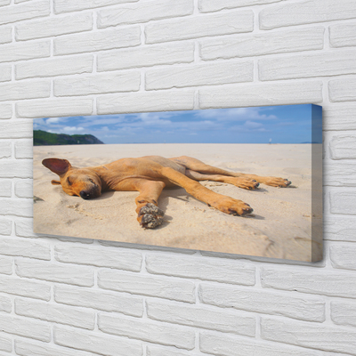 Pintura em tela Praia do cão deitado