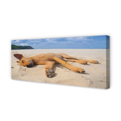 Pintura em tela Praia do cão deitado