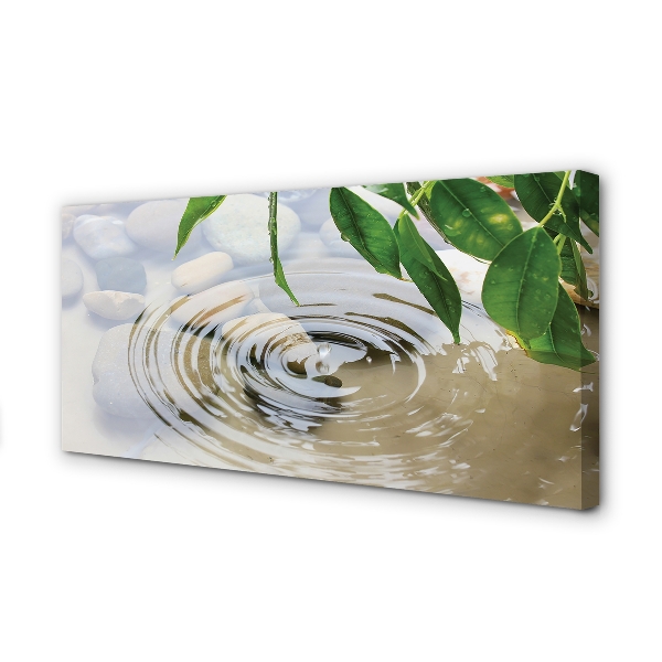 Quadro em tela Respingo de gota d'água