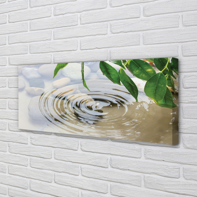 Quadro em tela Respingo de gota d'água