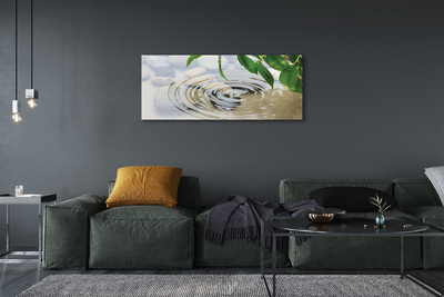 Quadro em tela Respingo de gota d'água