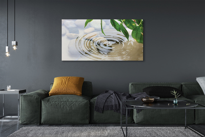 Quadro em tela Respingo de gota d'água