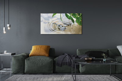 Quadro em tela Respingo de gota d'água