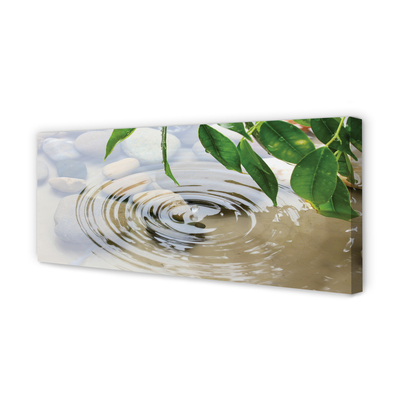 Quadro em tela Respingo de gota d'água