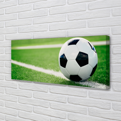 Pintura em tela Bola de gramado